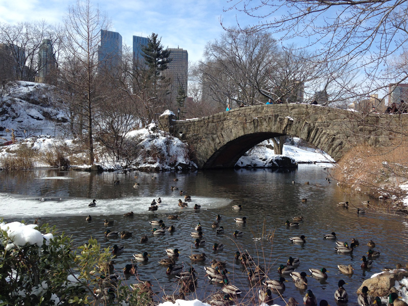 CentralParkSnow
