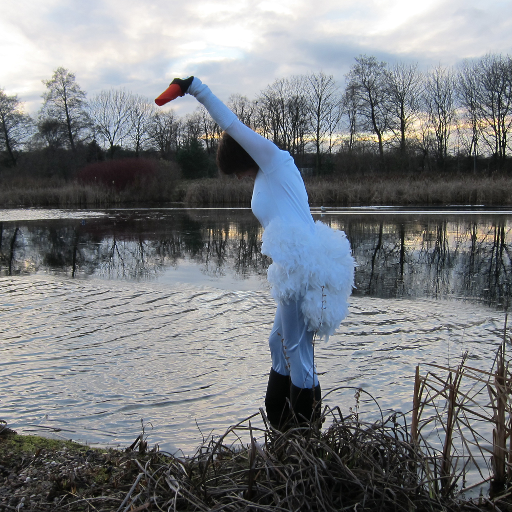 7Swans copy